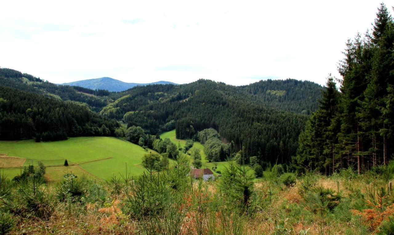 Gemuetliches Haus Im Herzen Des Schwarzwaldes Fuer Bis Zu 9 Personen Елзах Екстериор снимка