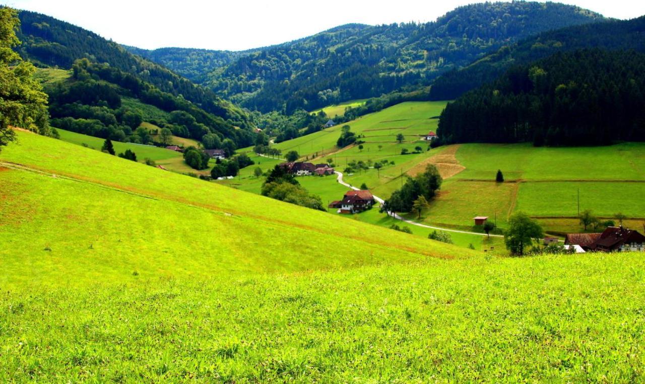 Gemuetliches Haus Im Herzen Des Schwarzwaldes Fuer Bis Zu 9 Personen Елзах Екстериор снимка