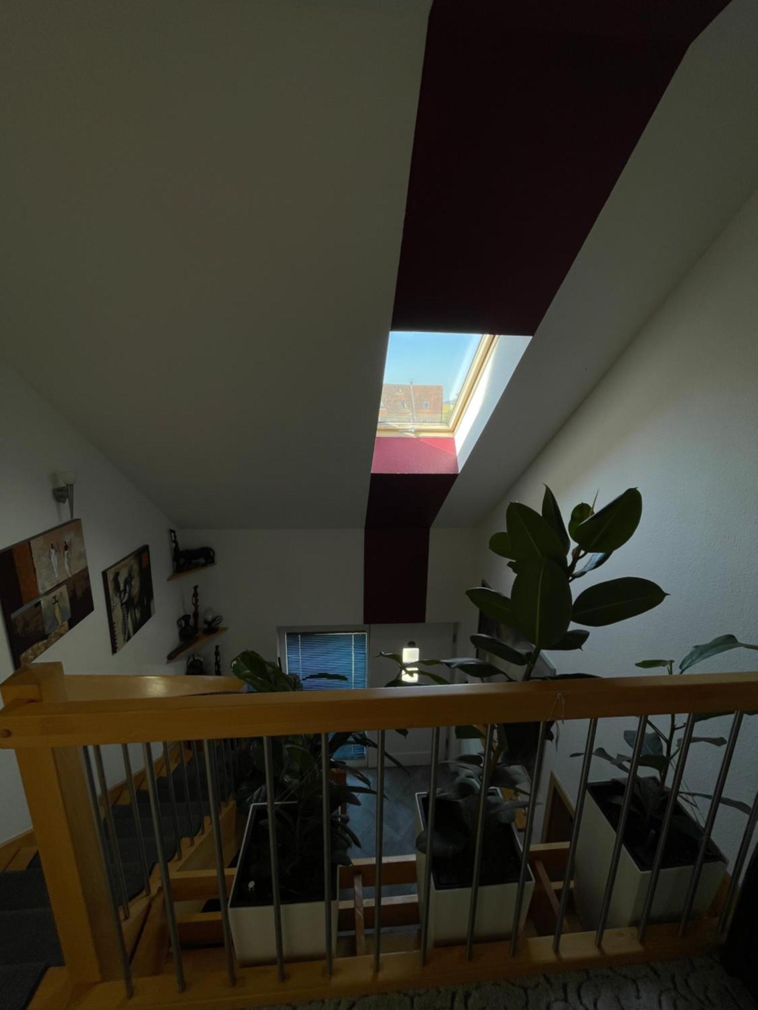 Gemuetliches Haus Im Herzen Des Schwarzwaldes Fuer Bis Zu 9 Personen Елзах Екстериор снимка